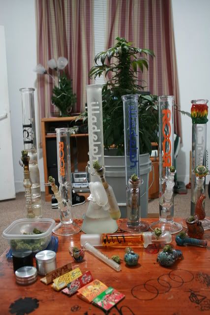 pure glass bongs. Pure glass straight tube with