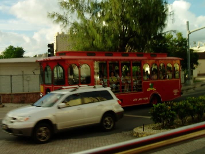 P8170476.jpg