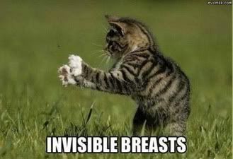 invisible breasts Pictures, Images and Photos
