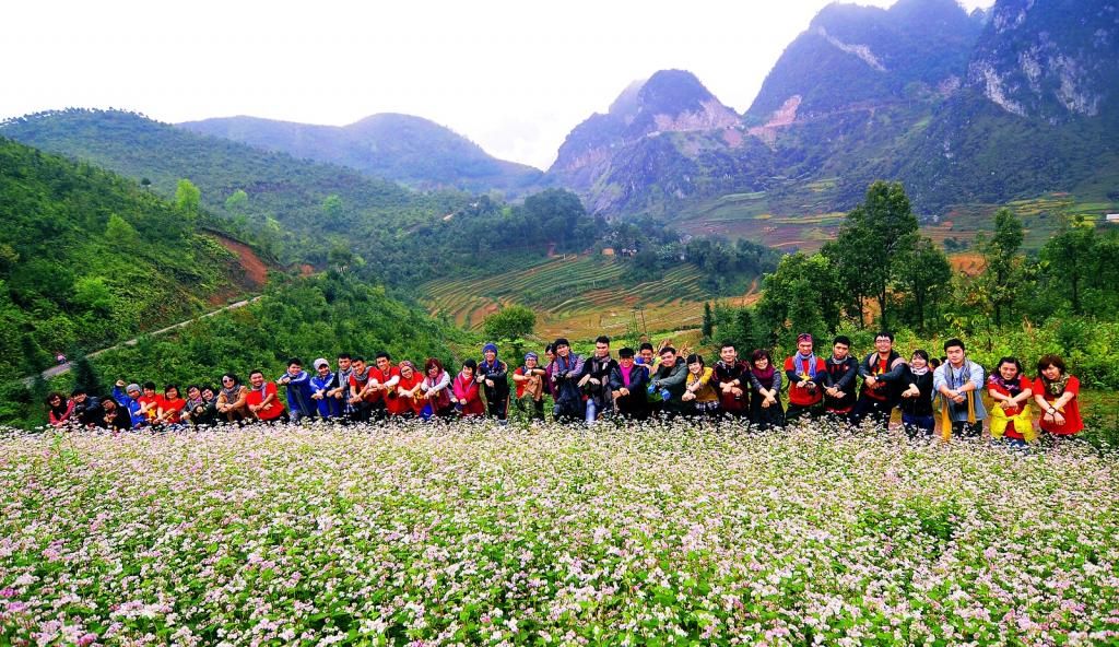 hoa tam giác mạch hà giang Hoa Tam Giac Mach.jpg