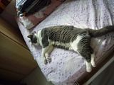 th_sleepb.jpg