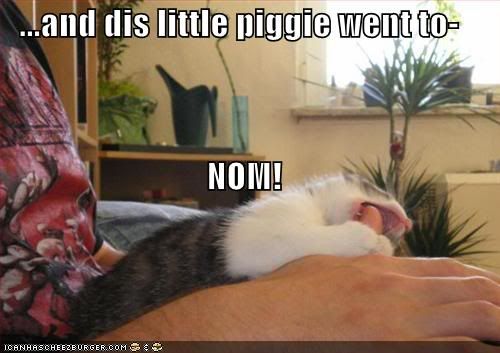 Funny Pictures Nom Nom Nom. funny-pictures-nom-piggy-cat.