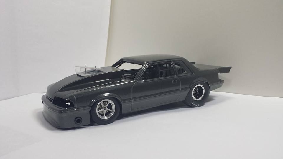 10177497_4091189895023_65295157406440752