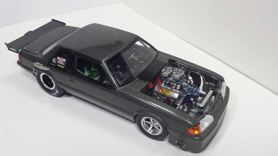 10255205_4443225695698_72907636275928990