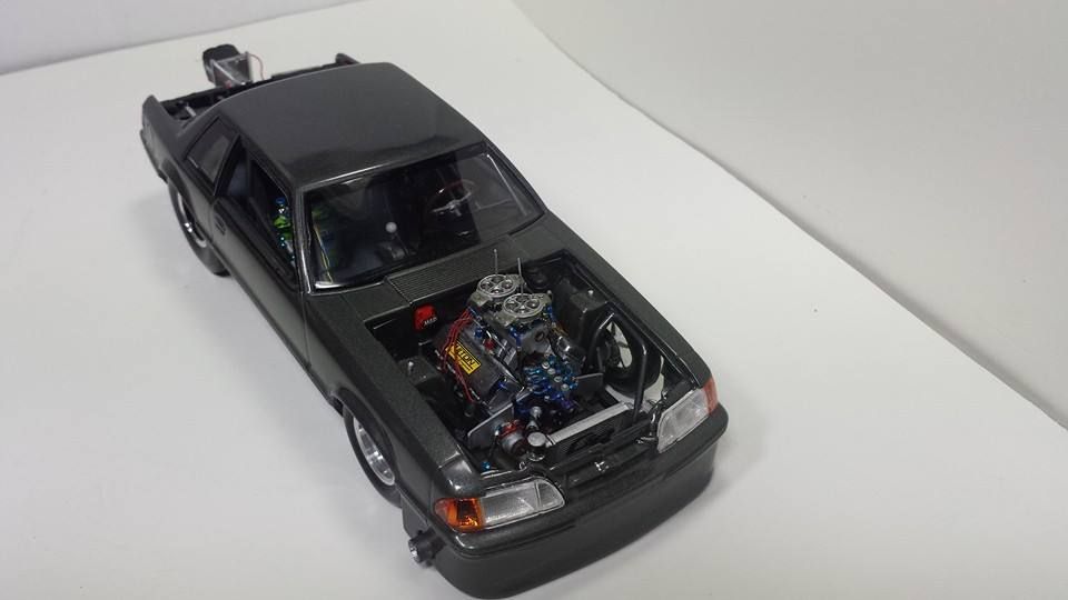 10382455_4415317518011_27325419279152550