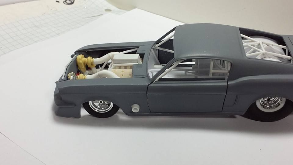 11018325_10200262327317779_7586944301944