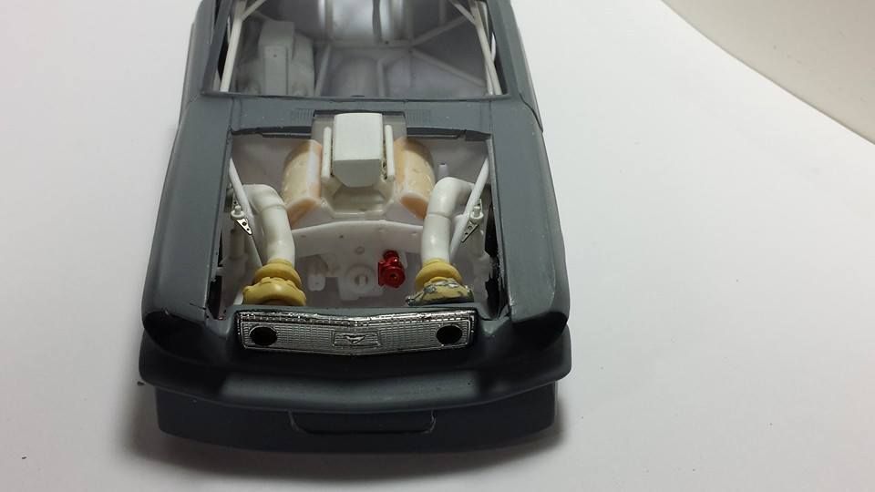 11050216_10200262326997771_8815270322387