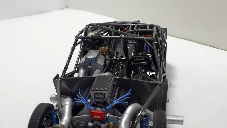 11113869_10200549411014692_2874125239594