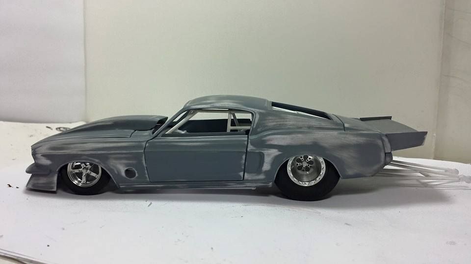 11136741_10200374544483138_6946548977504