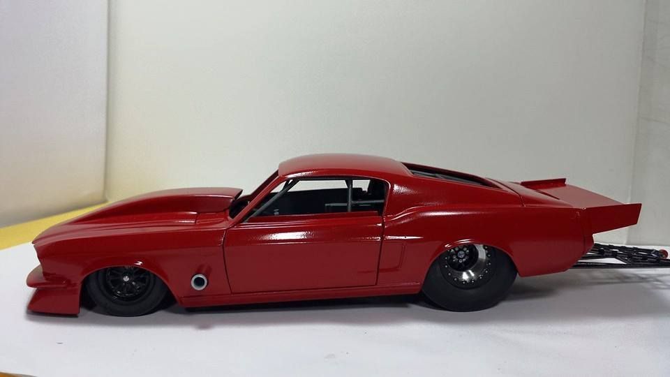 11143536_10200422246795666_6628443189578