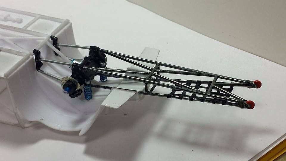 11150430_10200417395274381_6467572870048