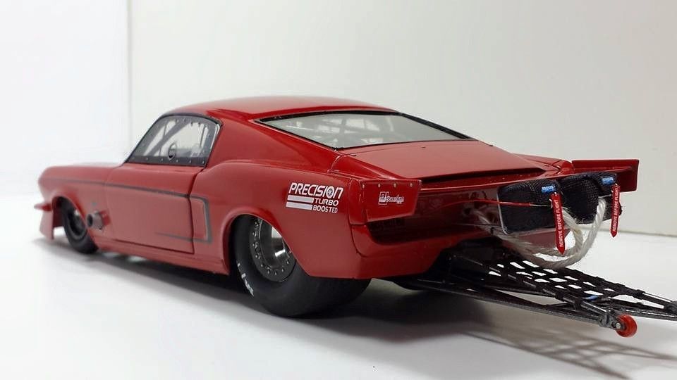 11377359_10200577662960973_2816276533253