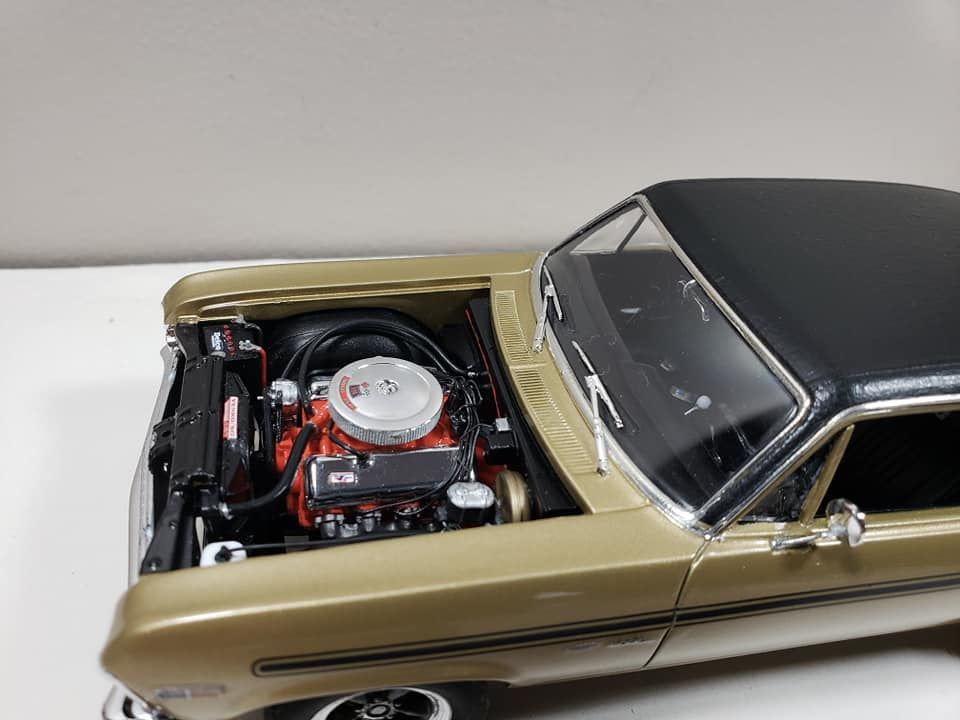 54203917_10205647826671897_4213973305243