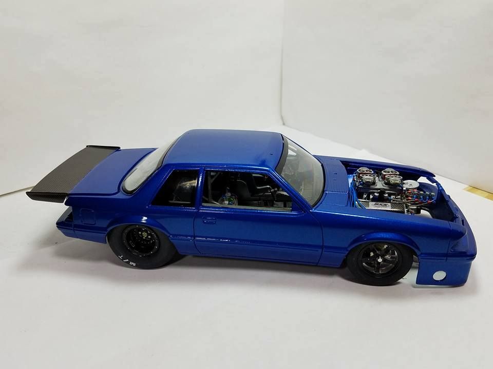 14021545_10202059494365832_5618661970403