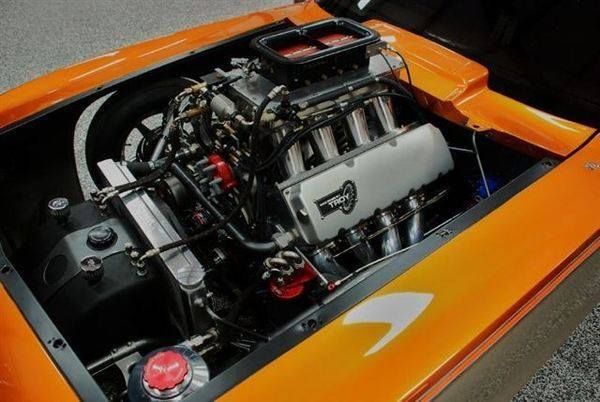 11949651_10200857276391134_111246379_n.j