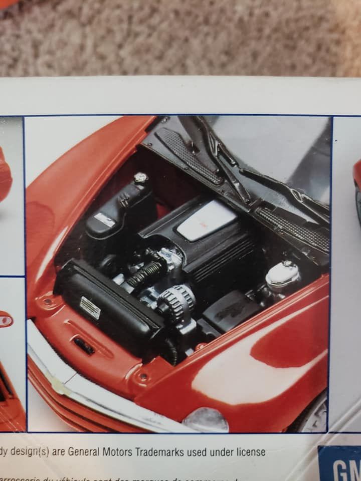 55726165_10205691489483440_5522988713254