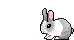 [Image: bunny.gif]
