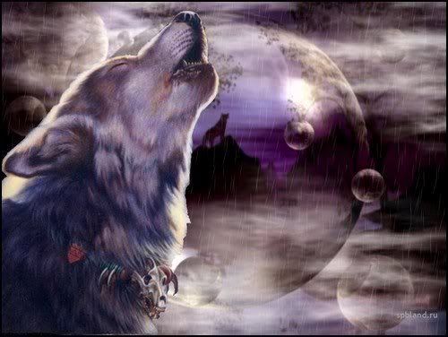 wolves howl