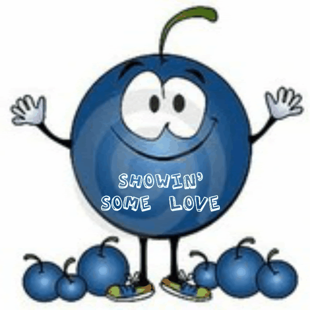 BLUEBERRY Pictures, Images and Photos