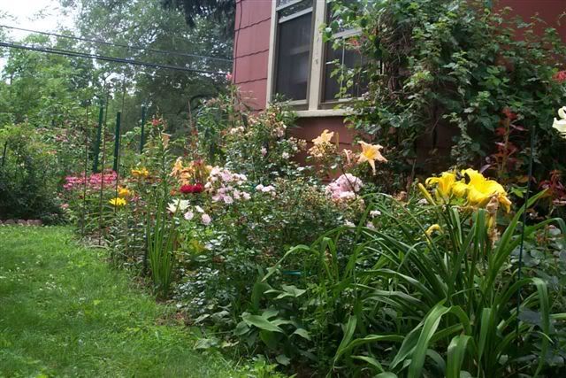 Front Yard Rose Garden