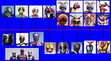 Kamen Rider Genealogy