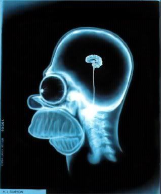 Photobucket · homer simpson..'s brain