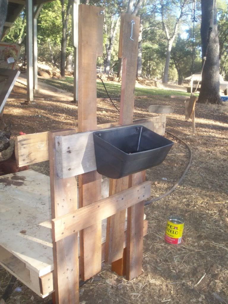 I built my own goat stand - Goats