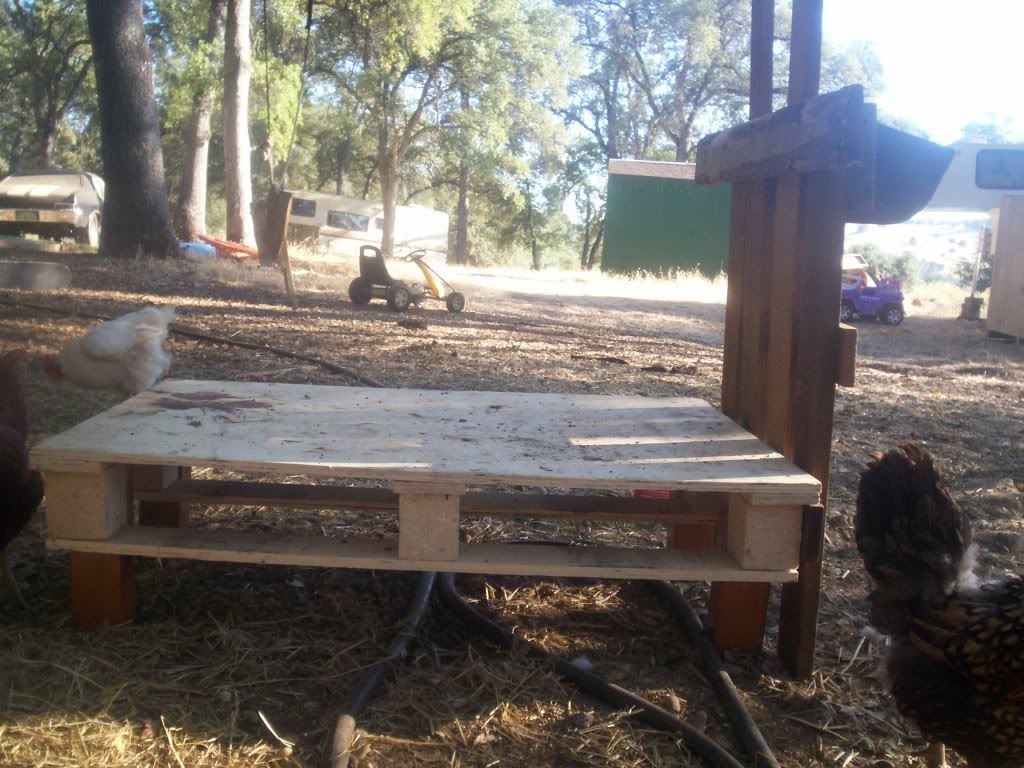 I built my own goat stand - Goats