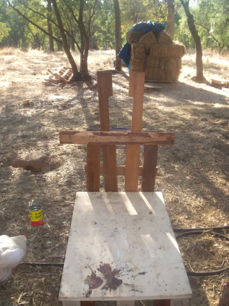 I built my own goat stand - Goats