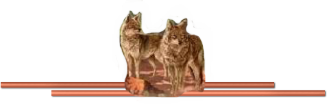 Doslobosline1.png picture by MistikZingara