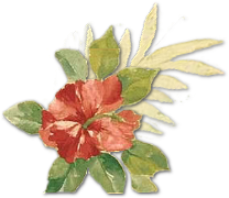 MissTflwr.png picture by MistikZingara