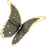 Shabbychicbtrfly.png picture by MistikZingara