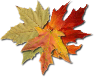 leaves.png picture by MistikZingara