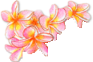 nohaycflowers.png picture by MistikZingara