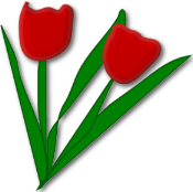 tulips-1.png picture by MistikZingara