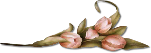 tulips.png picture by MistikZingara