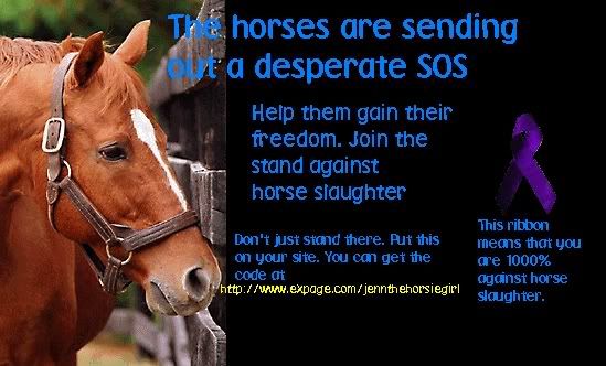 Anti Horse Slaughter