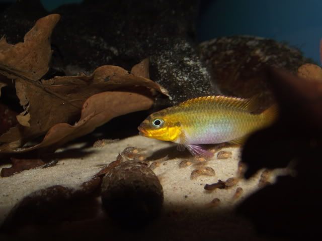 DSCF0844-1.jpg
