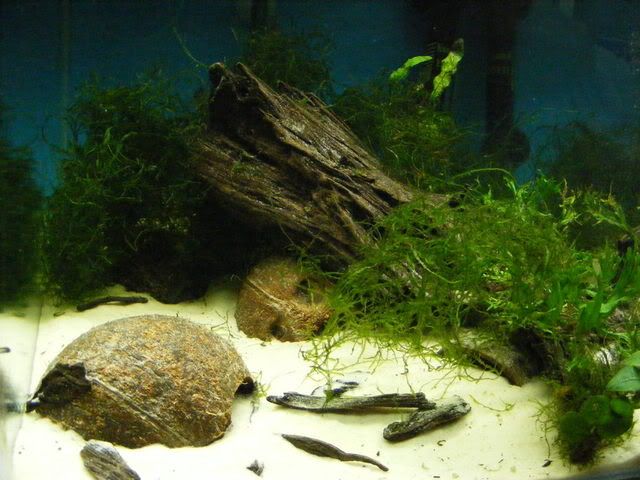 DSCF0856.jpg