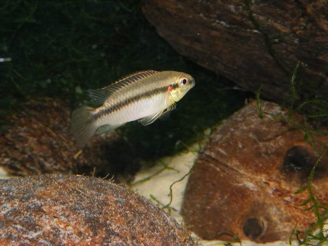 DSCF0900.jpg