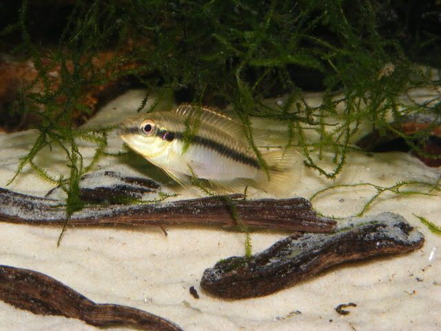 DSCF0904.jpg