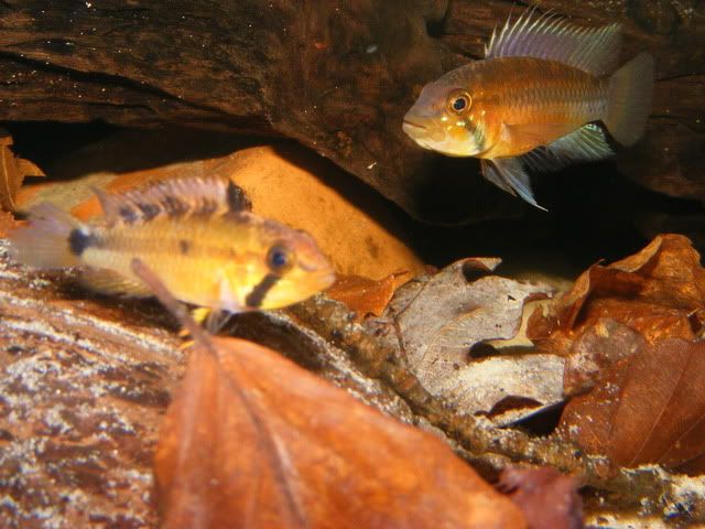 DSCF1057.jpg