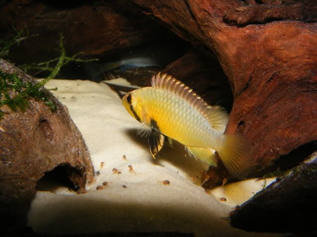 DSCF1272.jpg