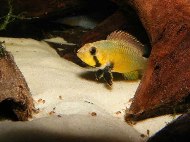 DSCF1273.jpg