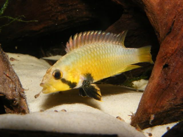 DSCF1275.jpg