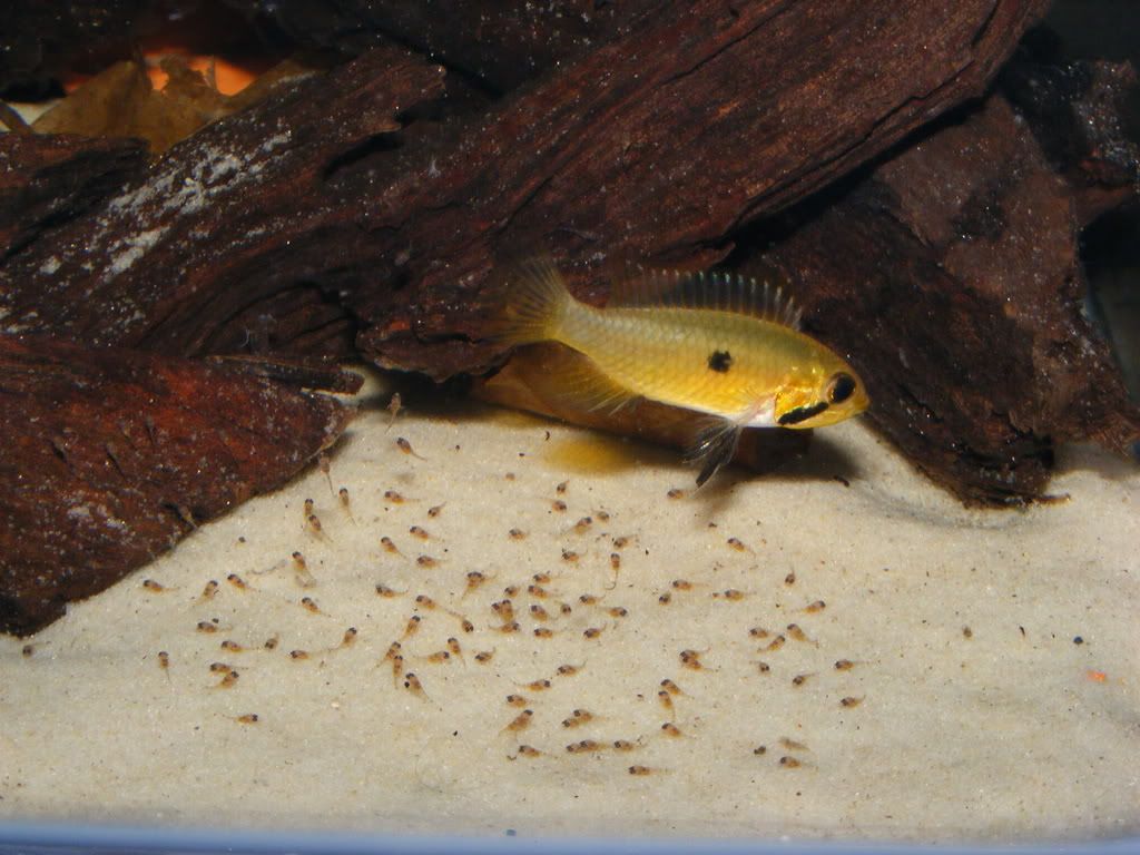 DSCF1705.jpg