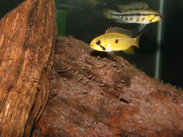 DSCF1719.jpg