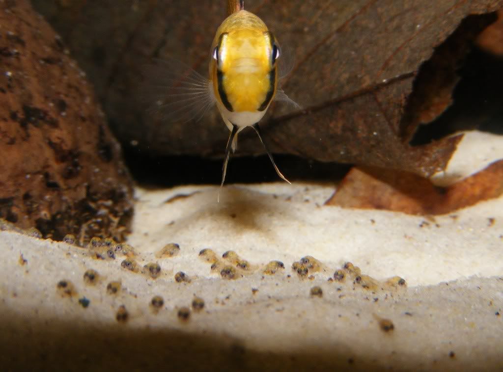 DSCF2257.jpg