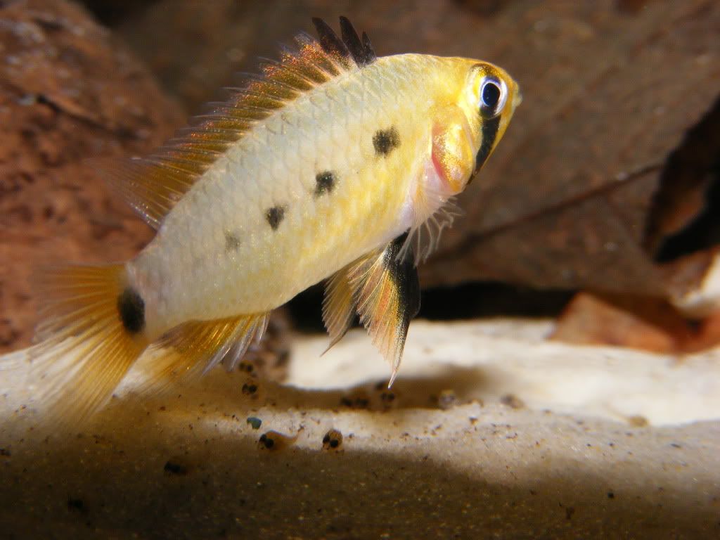 DSCF2261.jpg
