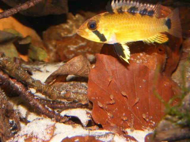 DSCF2411.jpg